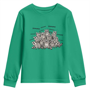 Funny Raccoon Grandma Youth Sweatshirt Grandmother Chaos Trash Panda TS12 Irish Green Print Your Wear