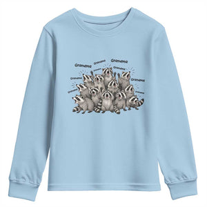 Funny Raccoon Grandma Youth Sweatshirt Grandmother Chaos Trash Panda TS12 Light Blue Print Your Wear