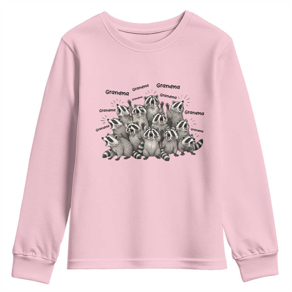 Funny Raccoon Grandma Youth Sweatshirt Grandmother Chaos Trash Panda TS12 Light Pink Print Your Wear