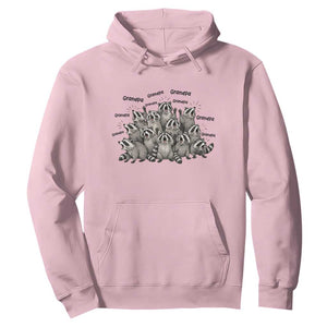 Funny Raccoon Grandpa Hoodie Chaos Coordinator Grandpa Life Graphic TS12 Light Pink Print Your Wear