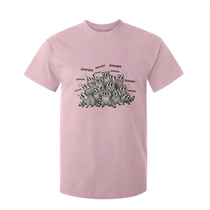 Funny Raccoon Grandpa T Shirt For Kid Chaos Coordinator Grandpa Life Graphic TS12 Light Pink Print Your Wear