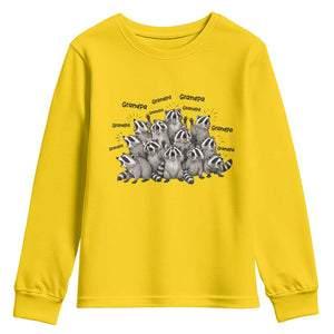 Funny Raccoon Grandpa Youth Sweatshirt Chaos Coordinator Grandpa Life Graphic TS12 Daisy Print Your Wear