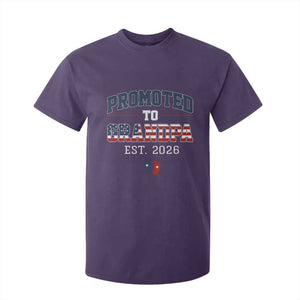 Patriotic Promoted To Grandpa Est 2026 T Shirt For Kid US Flag New Father Gift TS12 Purple Print Your Wear