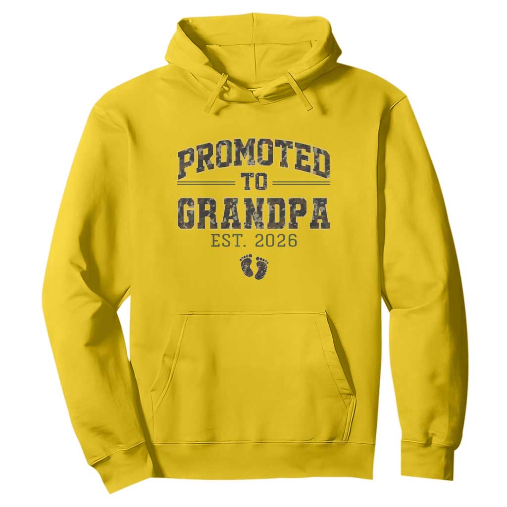 Promoted To Grandpa Est 2026 Hoodie Vintage Camo Grandpa Graphic TS12 Daisy Print Your Wear