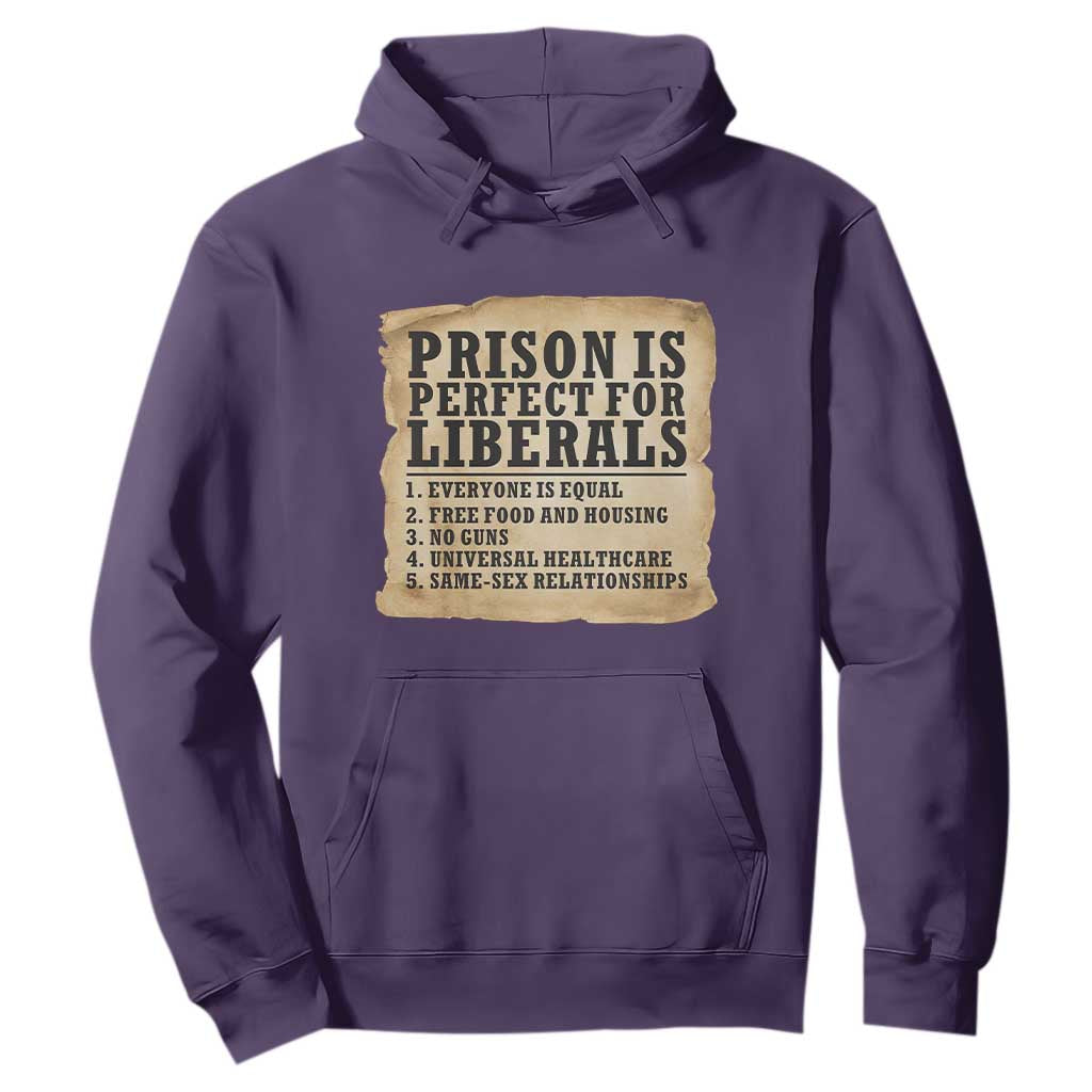 Vintage Prison Is Perfect For Liberals Hoodie Funny Political Graphic