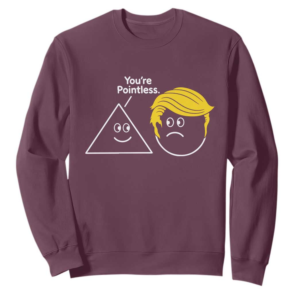 Funny Political Geometry Joke Sweatshirt Youre Pointless Graphic