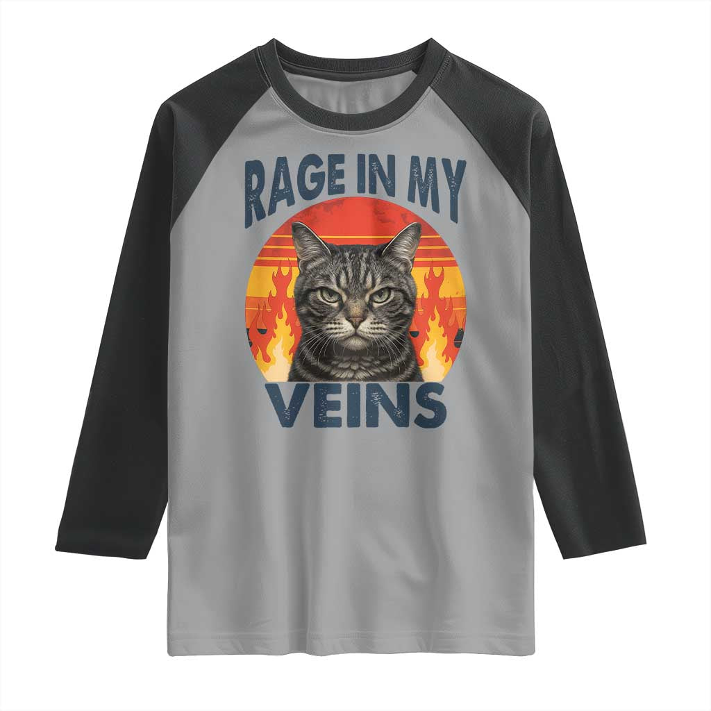 Cat Meme Raglan Shirt Funny Rage In My Veins Sarcastic Animal Humor TS12 Sport Gray Black Print Your Wear