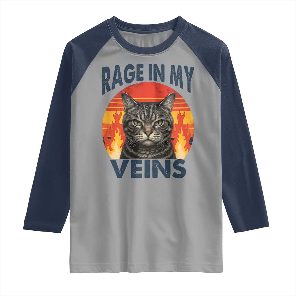 Cat Meme Raglan Shirt Funny Rage In My Veins Sarcastic Animal Humor TS12 Sport Gray Navy Print Your Wear