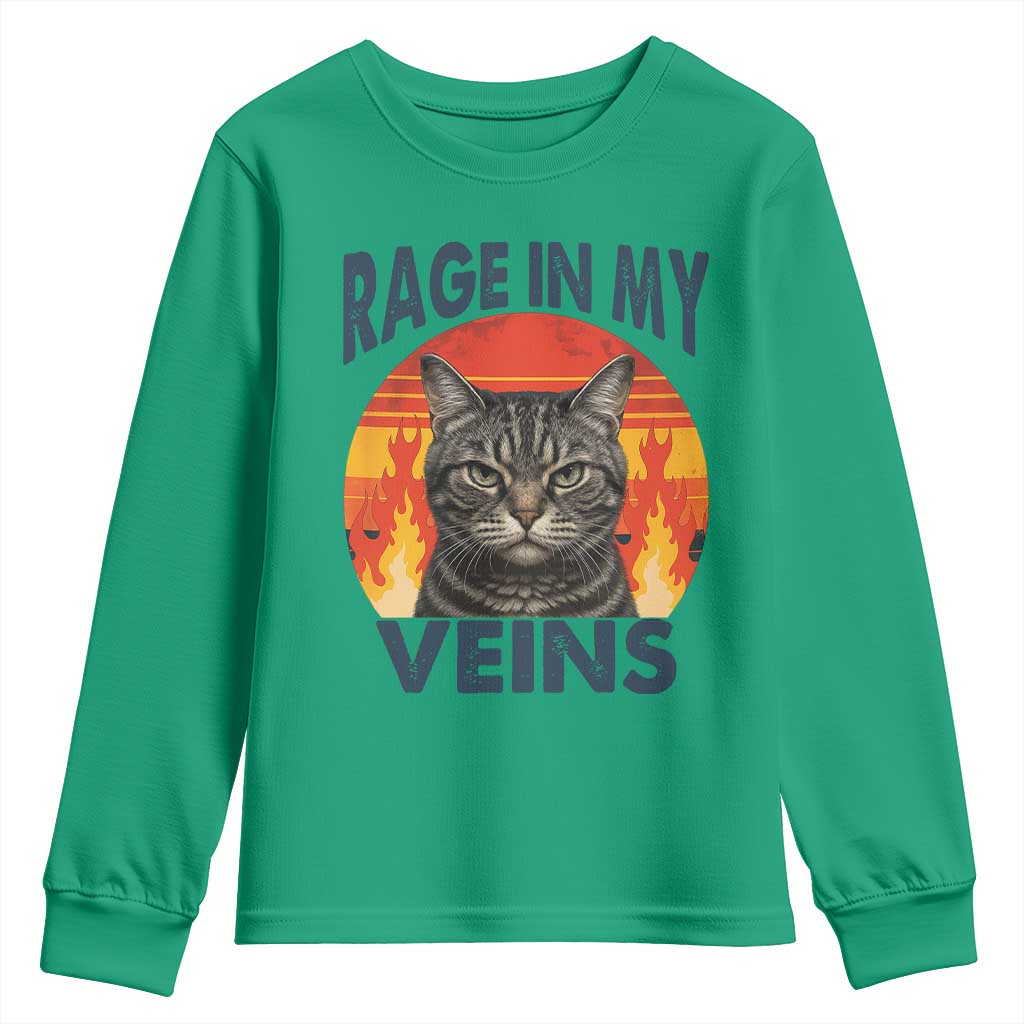 Cat Meme Youth Sweatshirt Funny Rage In My Veins Sarcastic Animal Humor TS12 Irish Green Print Your Wear
