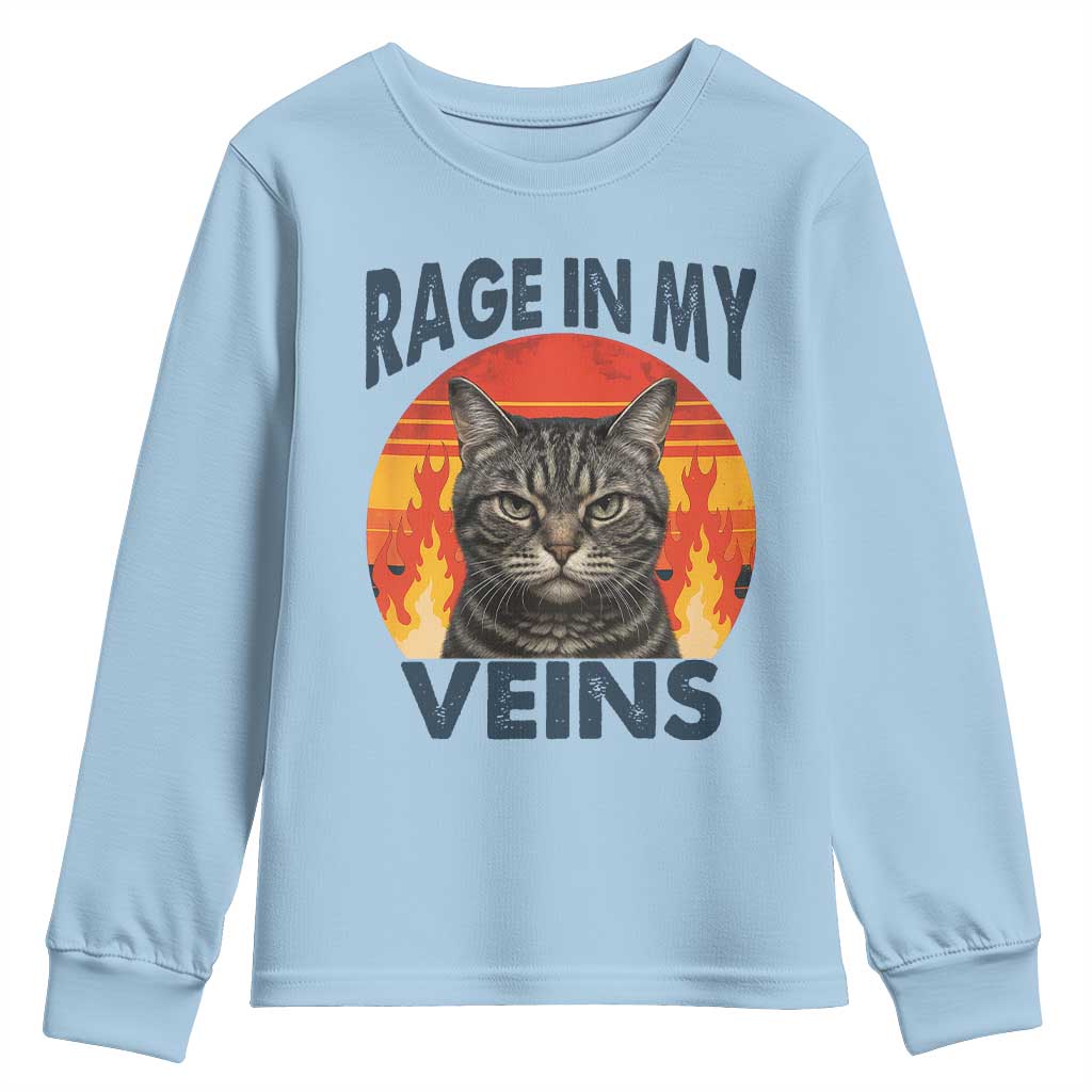 Cat Meme Youth Sweatshirt Funny Rage In My Veins Sarcastic Animal Humor TS12 Light Blue Print Your Wear