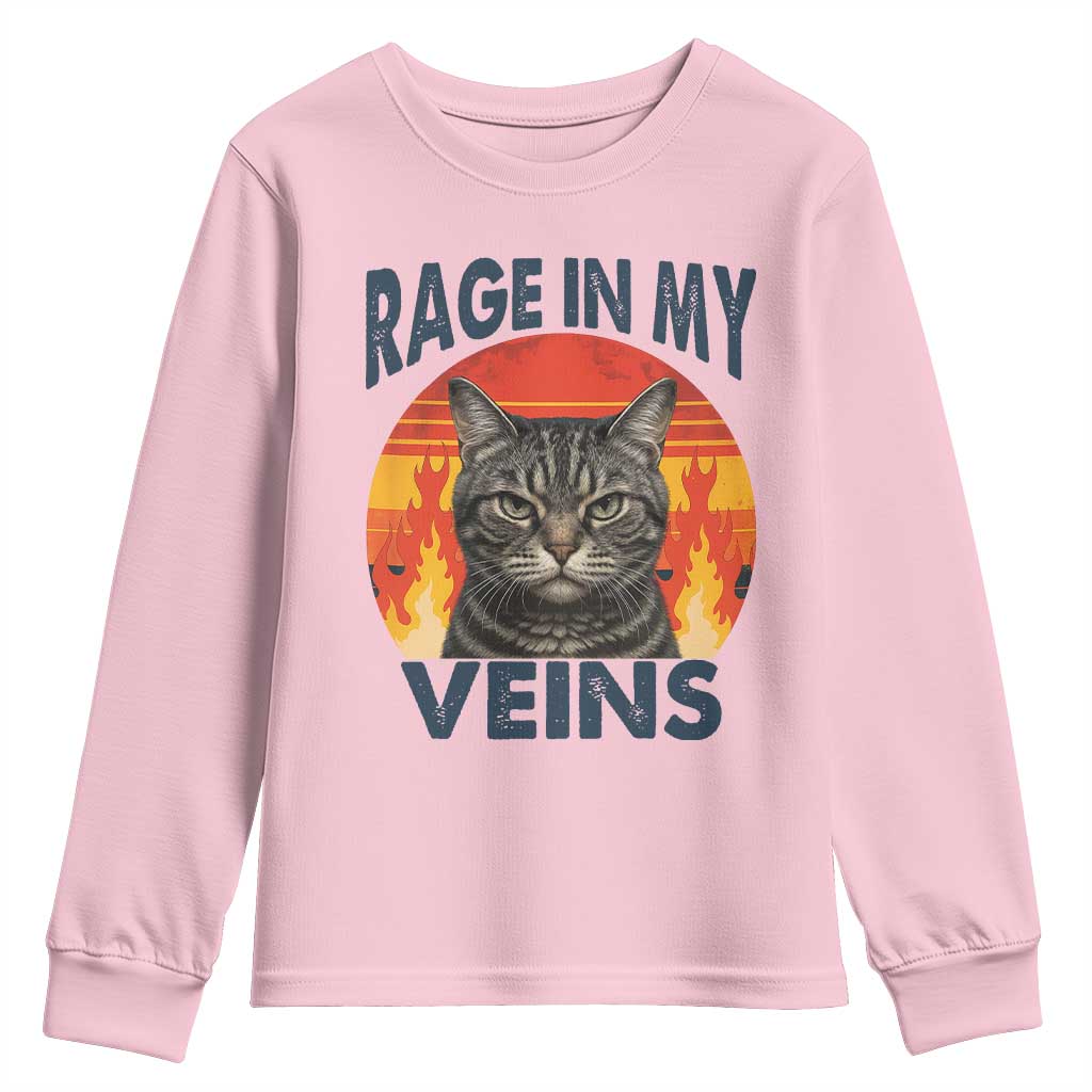 Cat Meme Youth Sweatshirt Funny Rage In My Veins Sarcastic Animal Humor TS12 Light Pink Print Your Wear