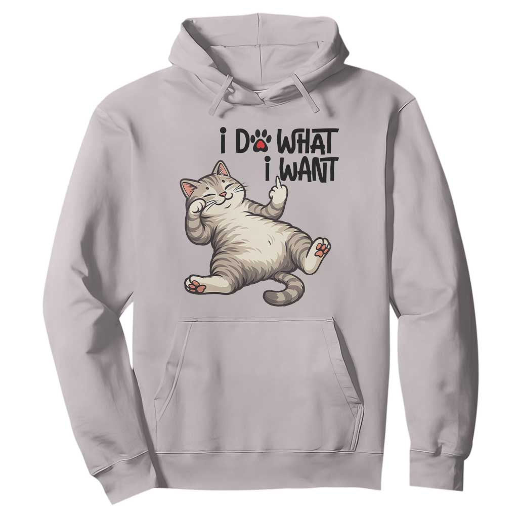 Cat Lover Hoodie Funny I Do What I Want TS12 Ice Gray Print Your Wear
