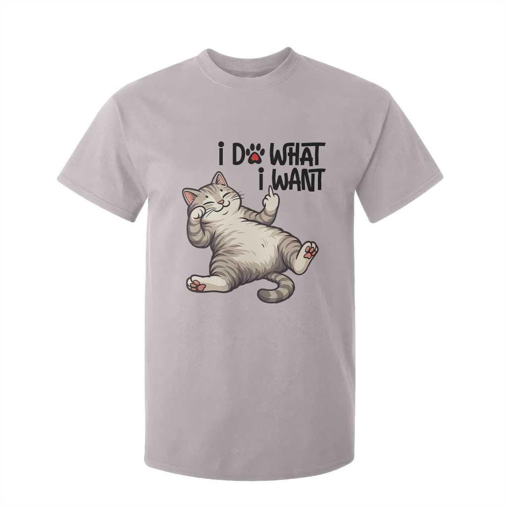 Cat Lover T Shirt For Kid Funny I Do What I Want TS12 Ice Gray Print Your Wear