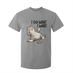 Cat Lover T Shirt For Kid Funny I Do What I Want TS12 Sport Gray Print Your Wear