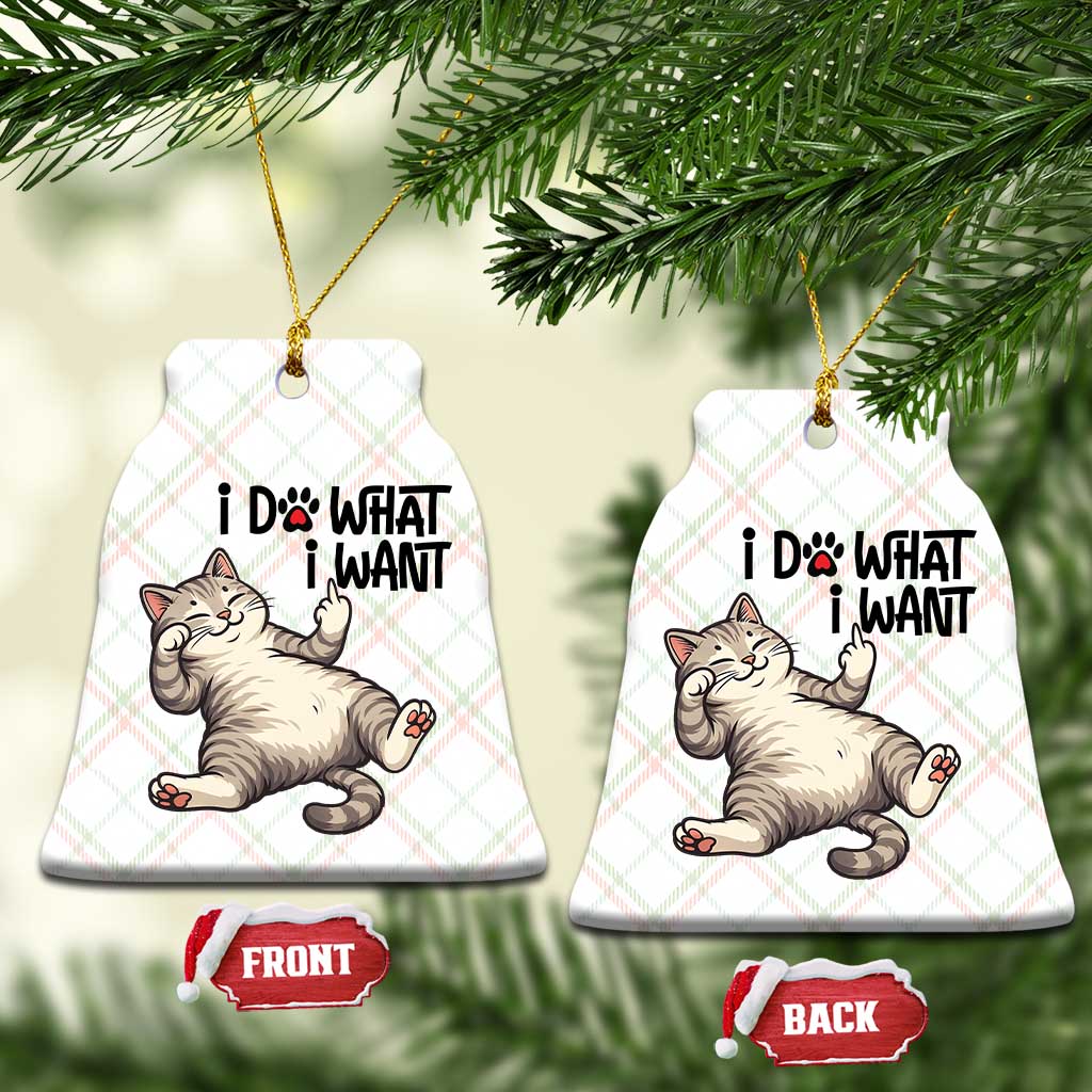 Cat Lover Ceramic Ornament Funny I Do What I Want TS12 Print Your Wear