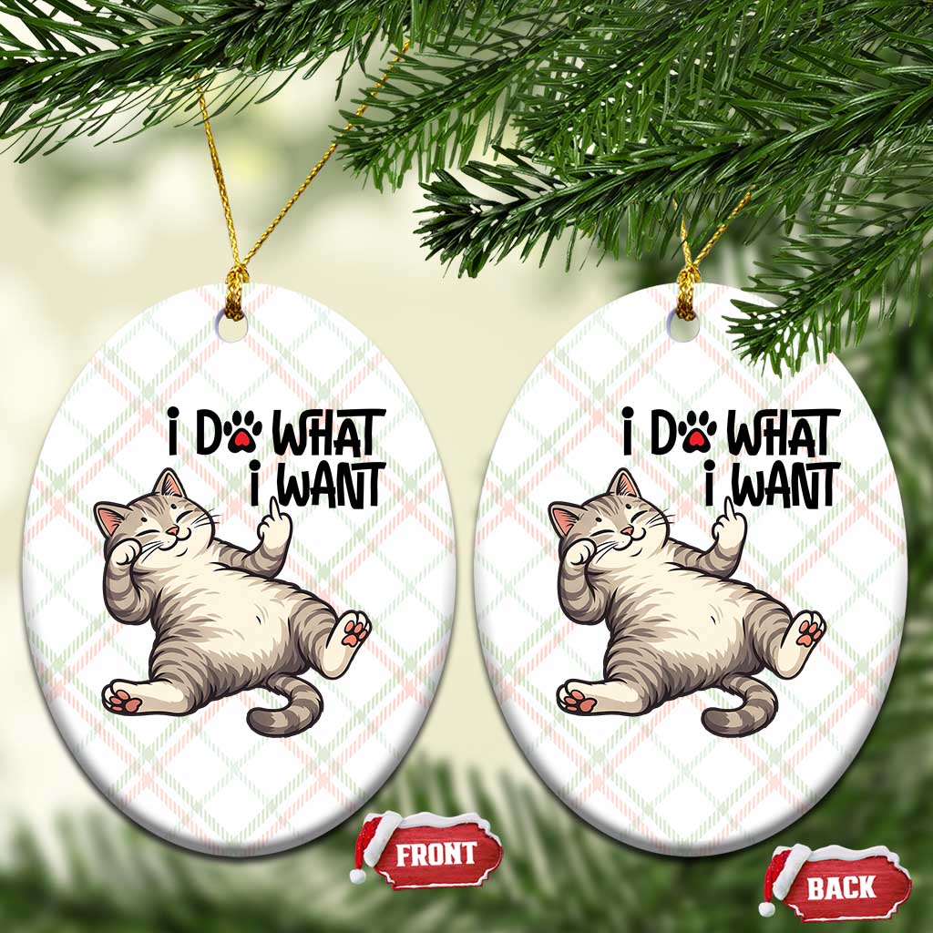 Cat Lover Ceramic Ornament Funny I Do What I Want TS12 Print Your Wear