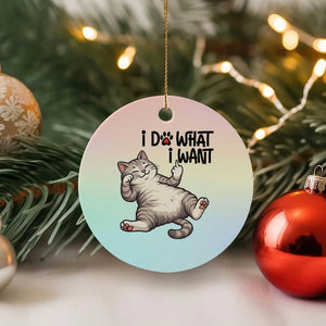 Cat Lover Ceramic Ornament Funny I Do What I Want TS12 1pc Pastel Print Your Wear