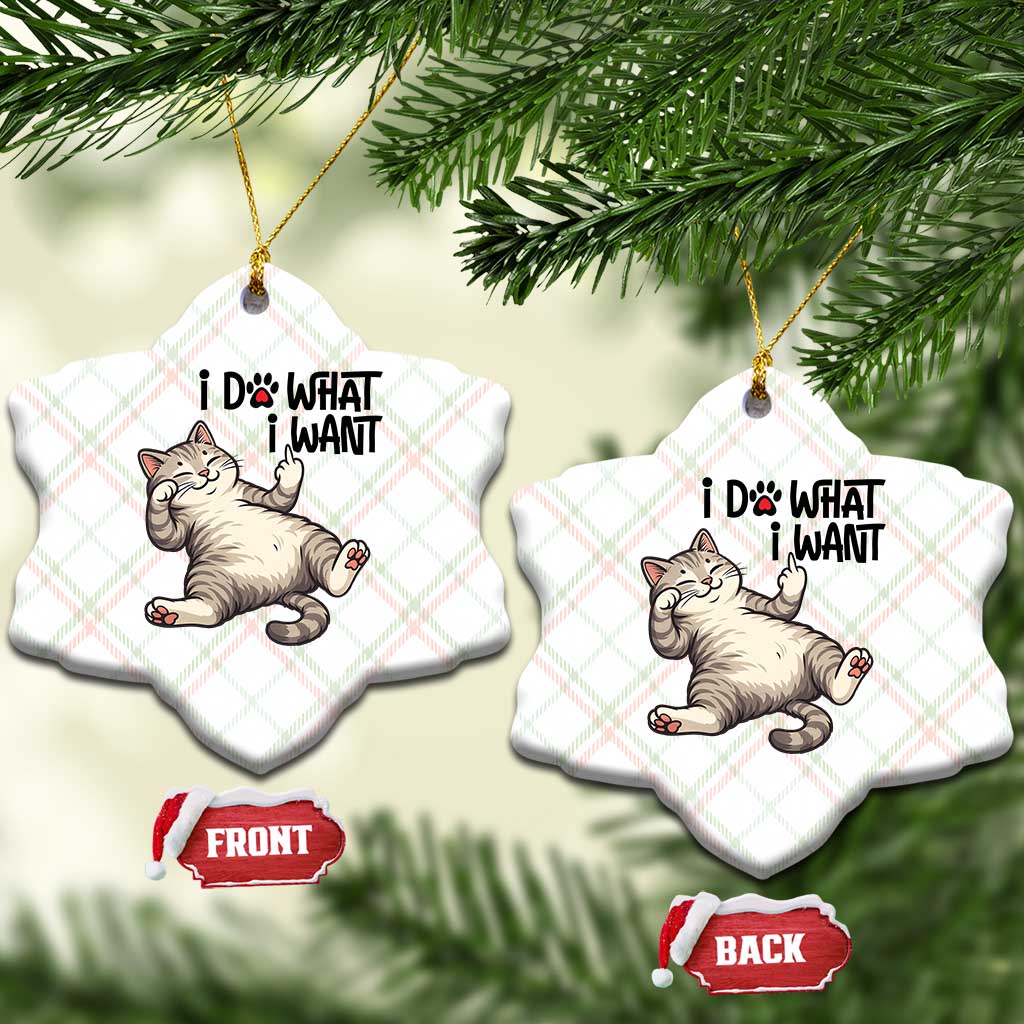 Cat Lover Ceramic Ornament Funny I Do What I Want TS12 Print Your Wear