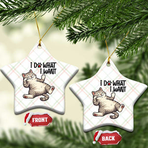 Cat Lover Ceramic Ornament Funny I Do What I Want TS12 Print Your Wear
