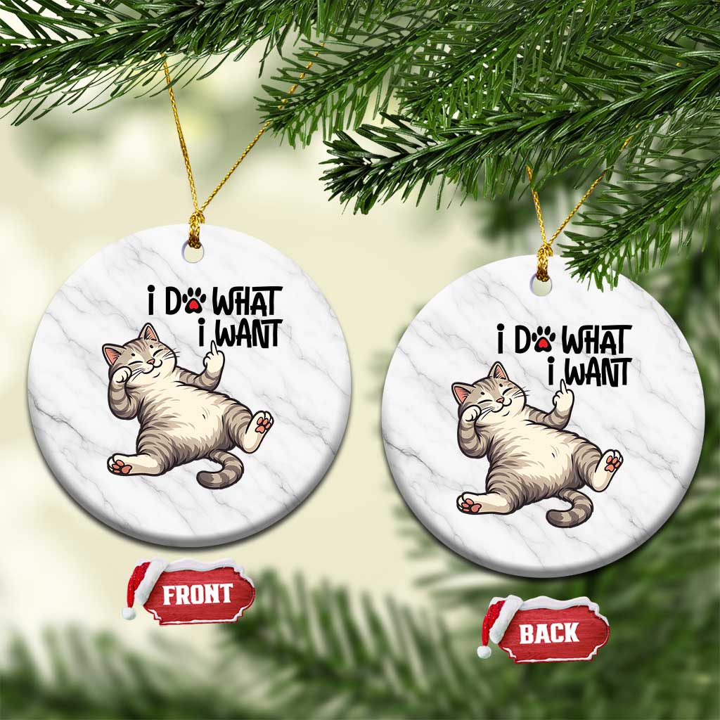 Cat Lover Ceramic Ornament Funny I Do What I Want TS12 1pc White Marble Print Your Wear