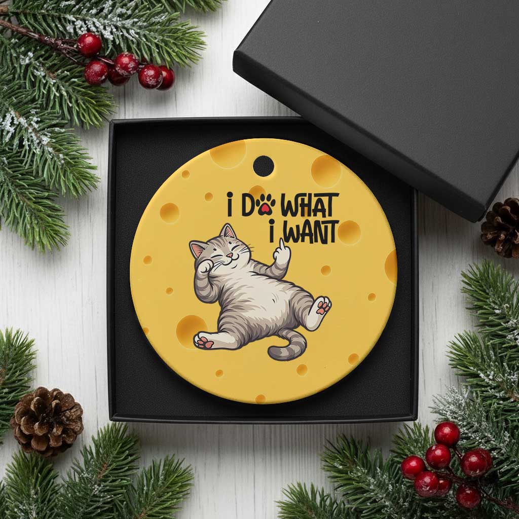 Cat Lover Ceramic Ornament Funny I Do What I Want TS12 1pc Yellow Cheese Print Your Wear