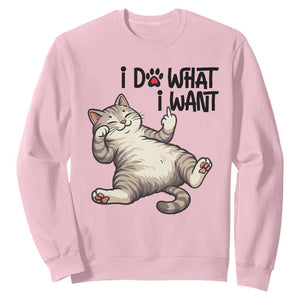 Cat Lover Sweatshirt Funny I Do What I Want TS12 Light Pink Print Your Wear