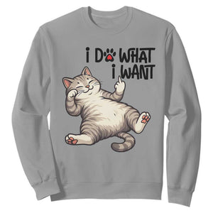Cat Lover Sweatshirt Funny I Do What I Want TS12 Sport Gray Print Your Wear