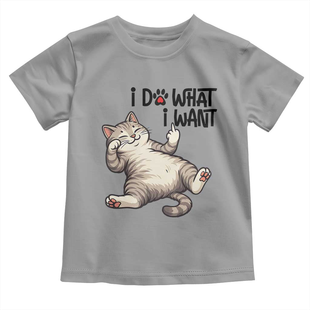 Cat Lover Toddler T Shirt Funny I Do What I Want TS12 Sport Gray Print Your Wear