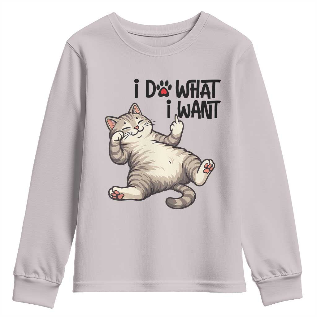 Cat Lover Youth Sweatshirt Funny I Do What I Want TS12 Ice Gray Print Your Wear