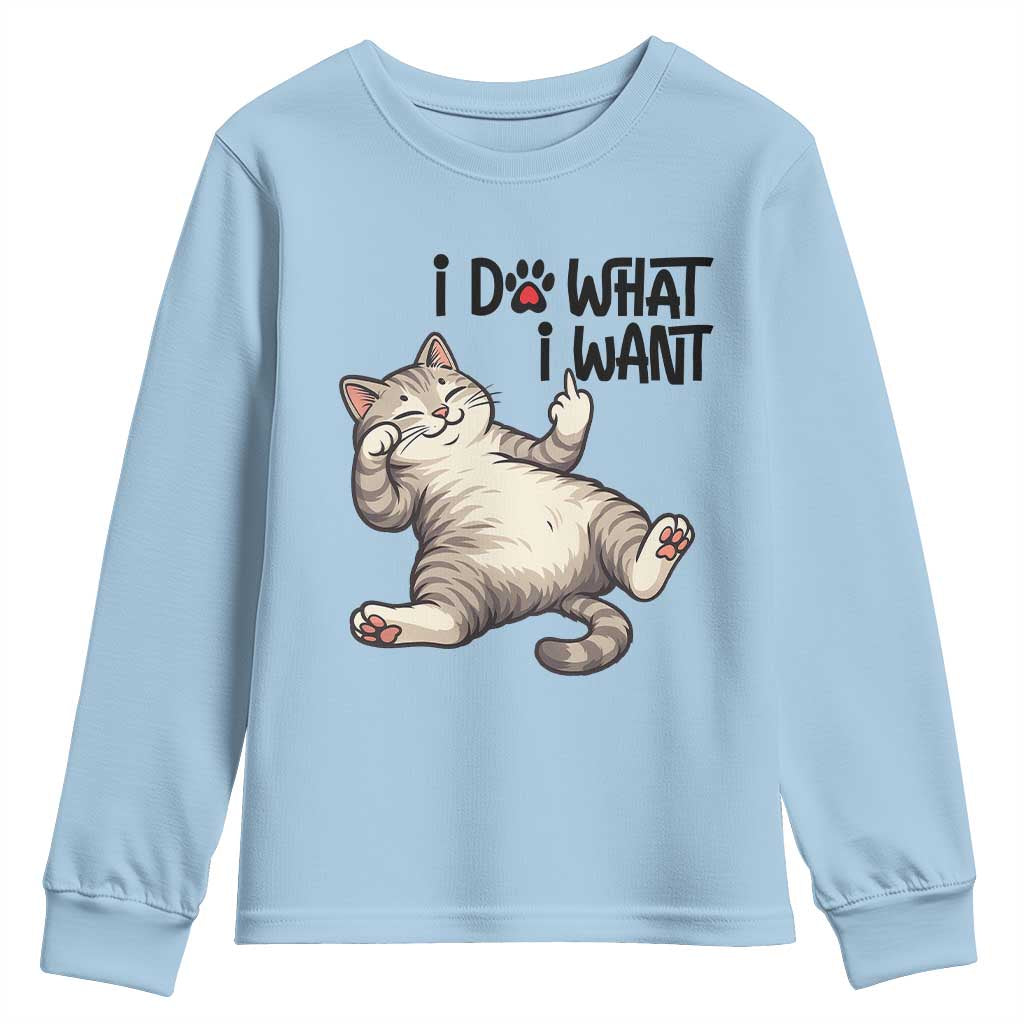 Cat Lover Youth Sweatshirt Funny I Do What I Want TS12 Light Blue Print Your Wear
