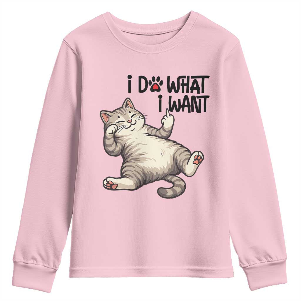 Cat Lover Youth Sweatshirt Funny I Do What I Want TS12 Light Pink Print Your Wear
