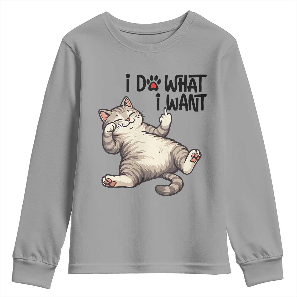 Cat Lover Youth Sweatshirt Funny I Do What I Want TS12 Sport Gray Print Your Wear