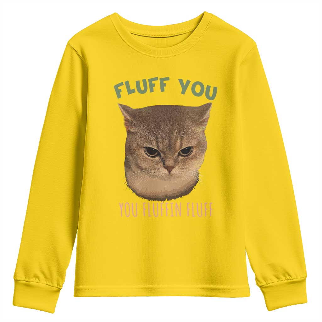 Cat Meme Youth Sweatshirt Funny Fluff You You Fluffin Fluff Cat Lover TS12 Daisy Print Your Wear