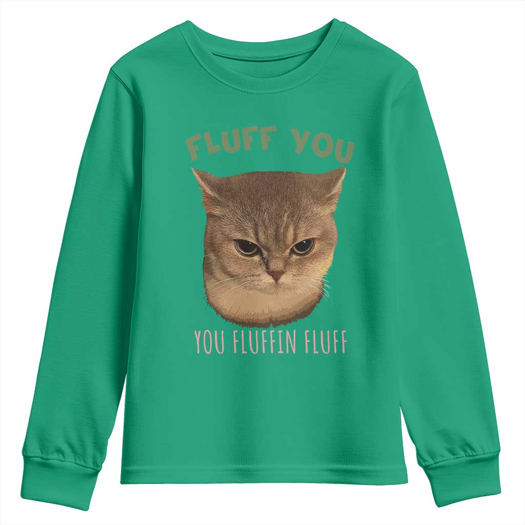 Cat Meme Youth Sweatshirt Funny Fluff You You Fluffin Fluff Cat Lover TS12 Irish Green Print Your Wear
