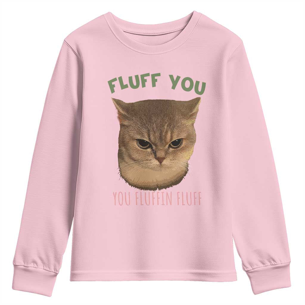 Cat Meme Youth Sweatshirt Funny Fluff You You Fluffin Fluff Cat Lover TS12 Light Pink Print Your Wear