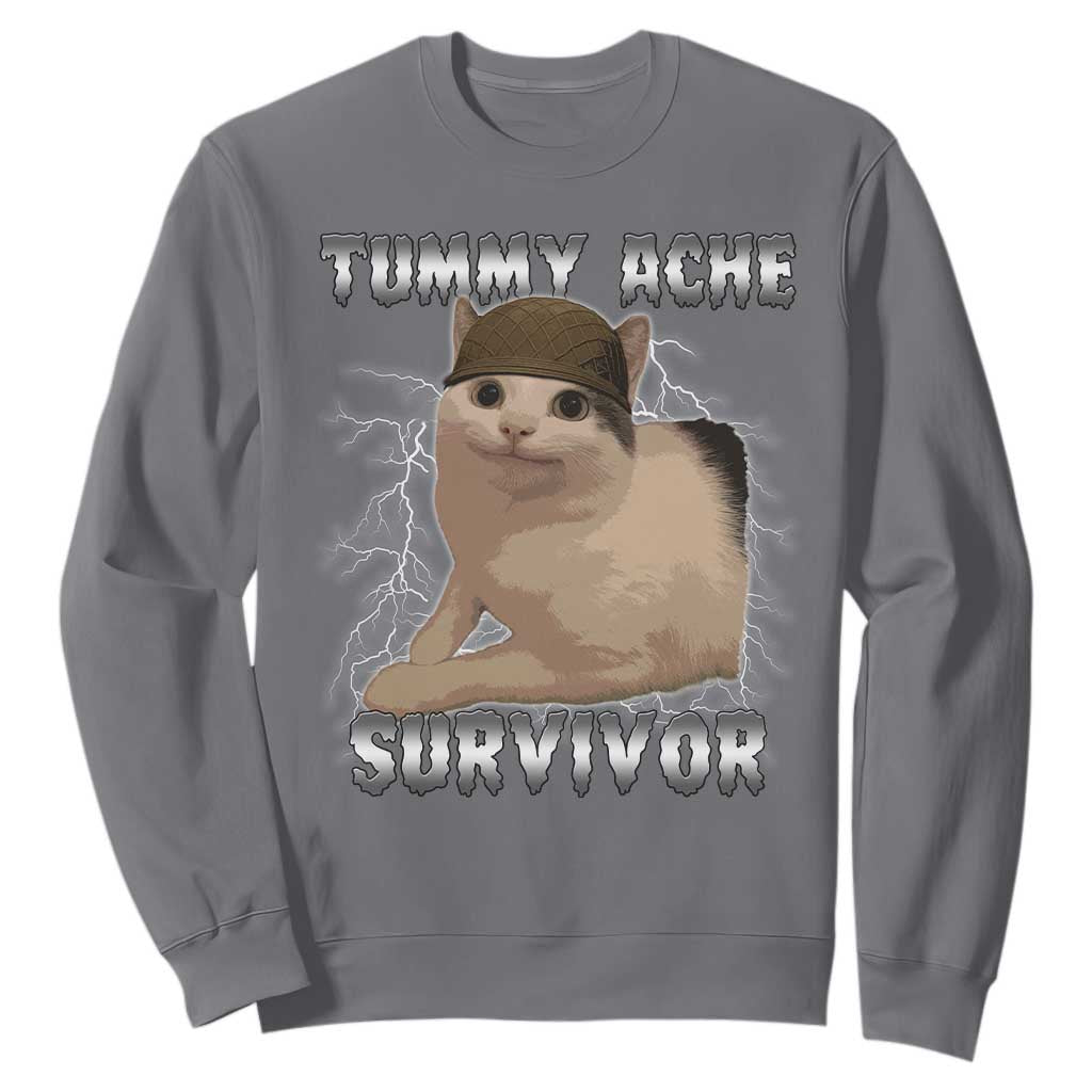 Tummy Ache Survivor Sweatshirt Cat Meme Humor Gift TS12 Charcoal Print Your Wear