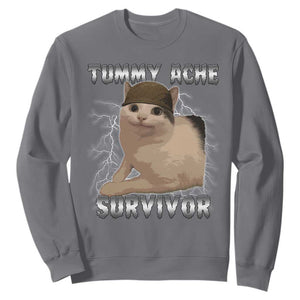 Tummy Ache Survivor Sweatshirt Cat Meme Humor Gift TS12 Charcoal Print Your Wear
