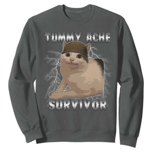 Tummy Ache Survivor Sweatshirt Cat Meme Humor Gift TS12 Dark Heather Print Your Wear
