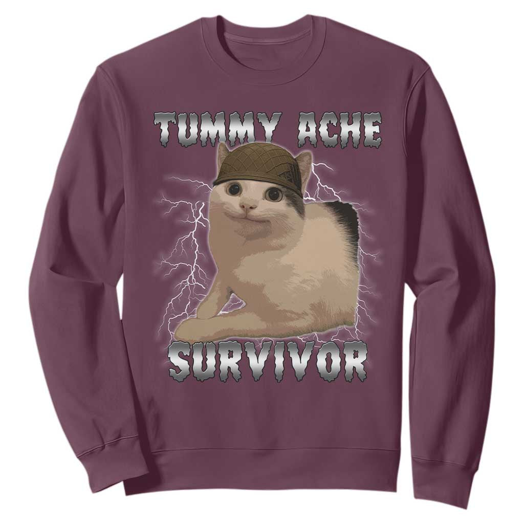 Tummy Ache Survivor Sweatshirt Cat Meme Humor Gift TS12 Maroon Print Your Wear