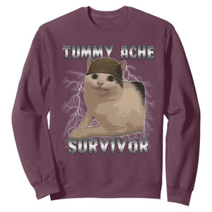 Tummy Ache Survivor Sweatshirt Cat Meme Humor Gift TS12 Maroon Print Your Wear