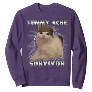Tummy Ache Survivor Sweatshirt Cat Meme Humor Gift TS12 Purple Print Your Wear