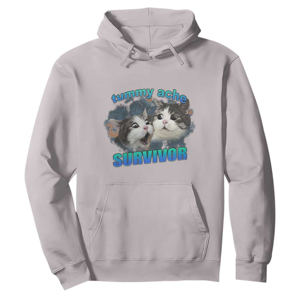 Tummy Ache Survivor Hoodie Funny Cat Meme For Cat Lover TS12 Ice Gray Print Your Wear