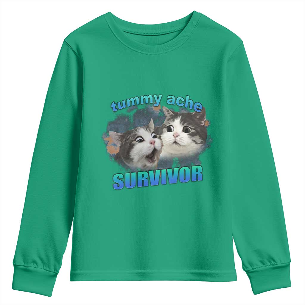 Tummy Ache Survivor Youth Sweatshirt Funny Cat Meme For Cat Lover TS12 Irish Green Print Your Wear