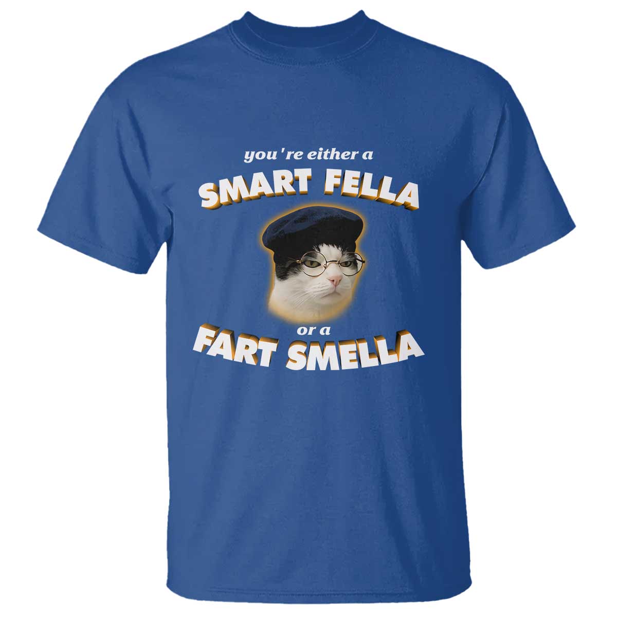 Funny Cat Farts Meme T Shirt You're Either A Smart Fella Or A Fart Smella TS12 Royal Blue Print Your Wear
