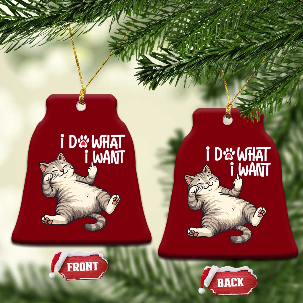 Funny Cat Ceramic Ornament I Do What I Want TS12 Print Your Wear
