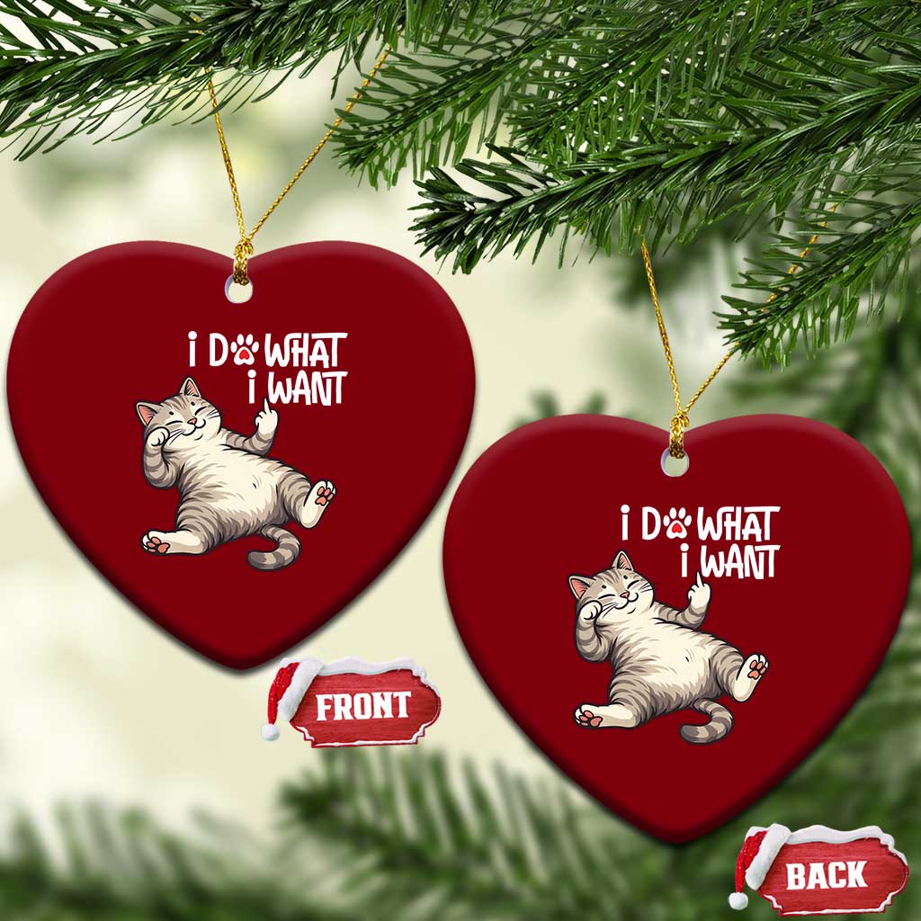 Funny Cat Ceramic Ornament I Do What I Want TS12 Print Your Wear