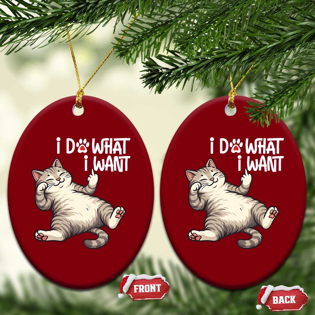 Funny Cat Ceramic Ornament I Do What I Want TS12 Print Your Wear