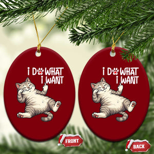 Funny Cat Ceramic Ornament I Do What I Want TS12 Print Your Wear