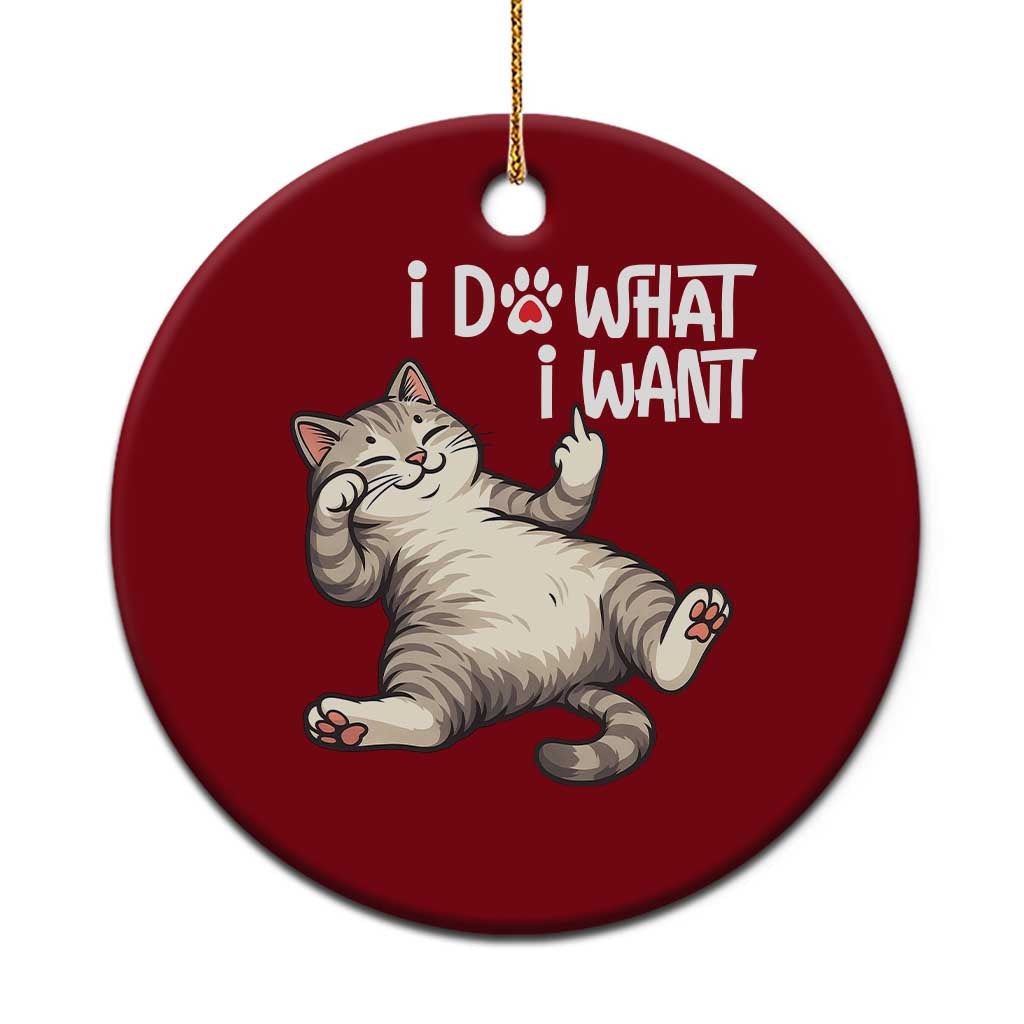 Funny Cat Ceramic Ornament I Do What I Want TS12 1pc Red Print Your Wear