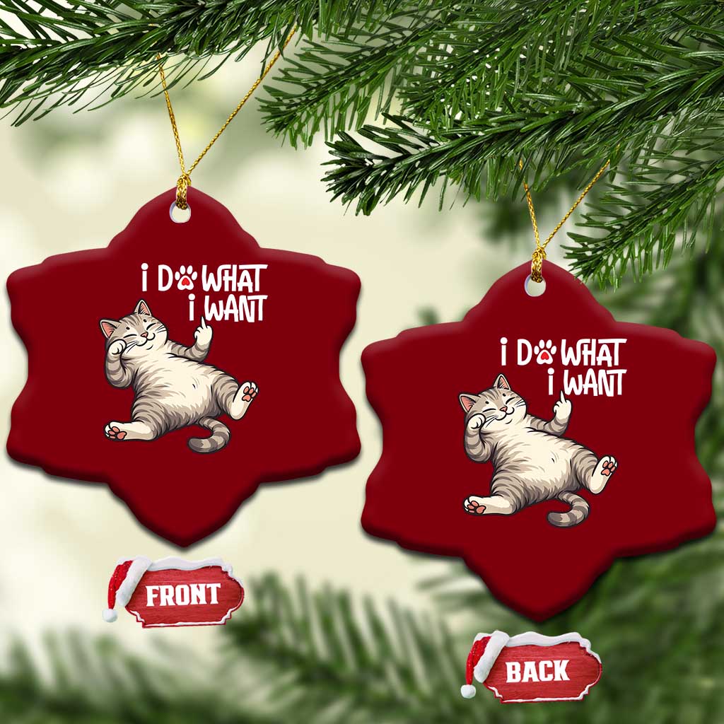 Funny Cat Ceramic Ornament I Do What I Want TS12 Print Your Wear